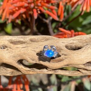 💍Sterling Silver Crab Ring